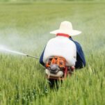 Herbicides